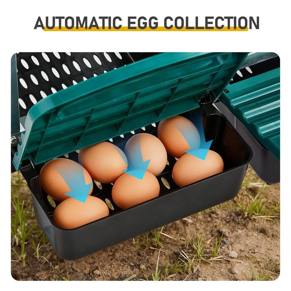 3 Compartment Green Wall Mount Chicken Nesting Box,Easy Egg Collection&Cleanable
