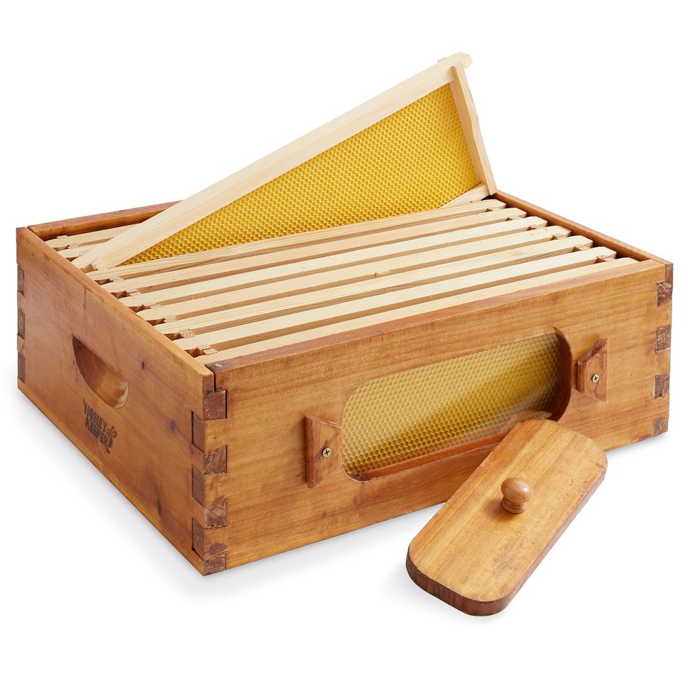Medium Super Waxed Box with Window, 10 frames and 10 Yellow Foundations