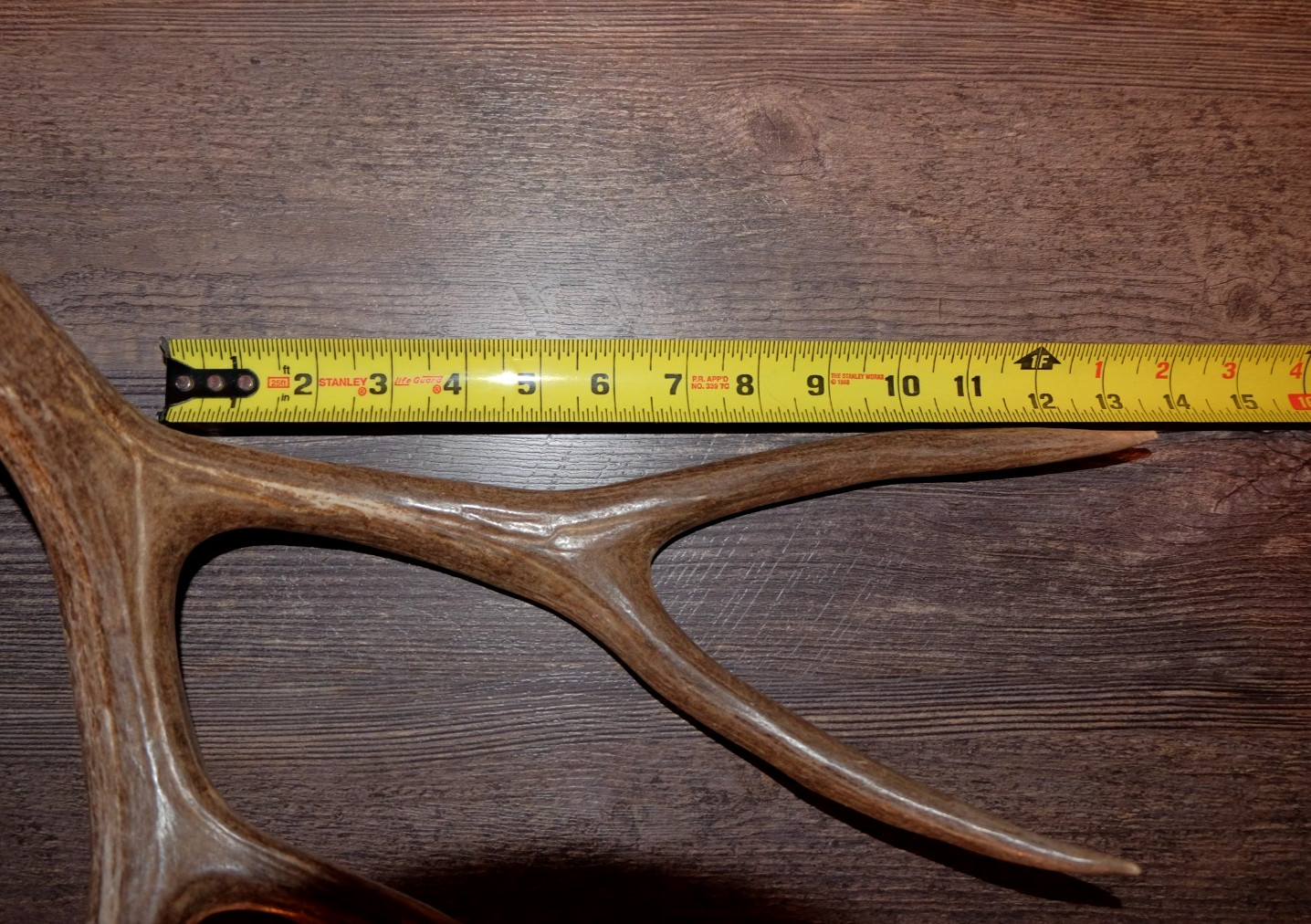 Nice Set Mule Deer Antlers Sheds Taxidermy Mount Cabin Decor Buck Horns