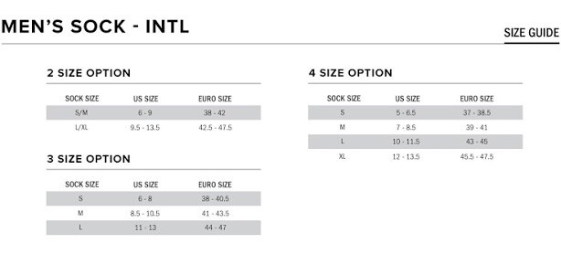 Alpinestars ZX V4 Racing Socks