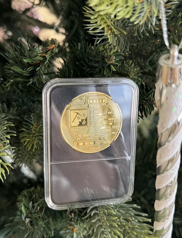 Bitcoin Coin Souvenir In Plastic Protective Case