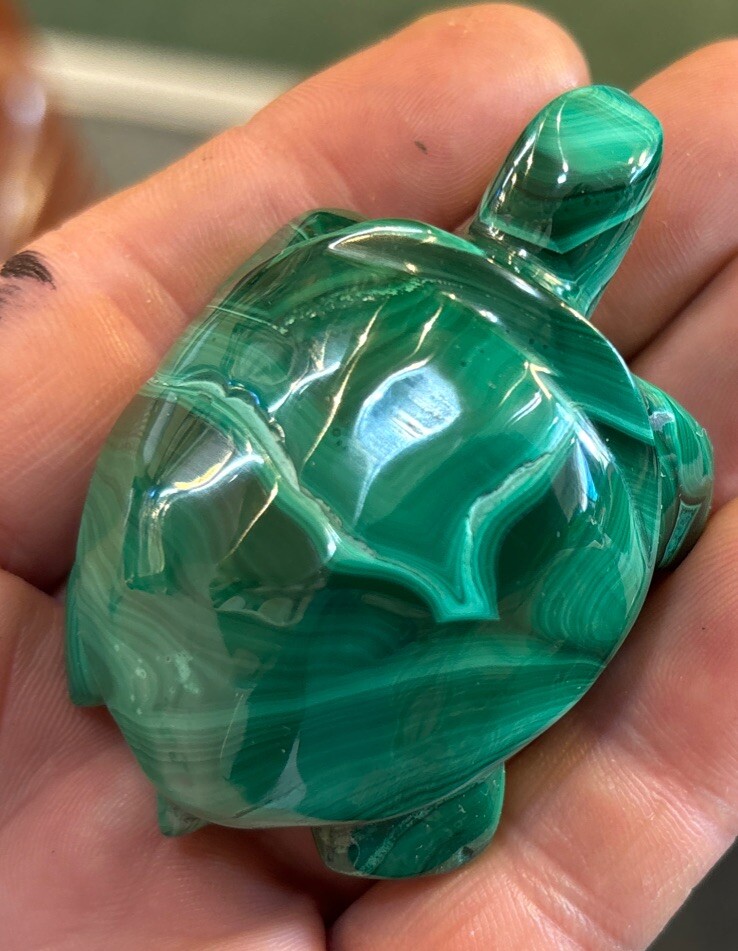 2” Malachite Turtle