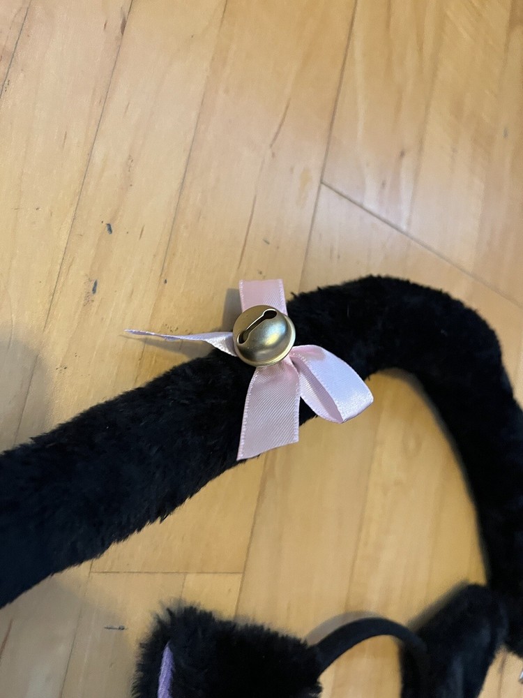 Kitty costume 4 piece set