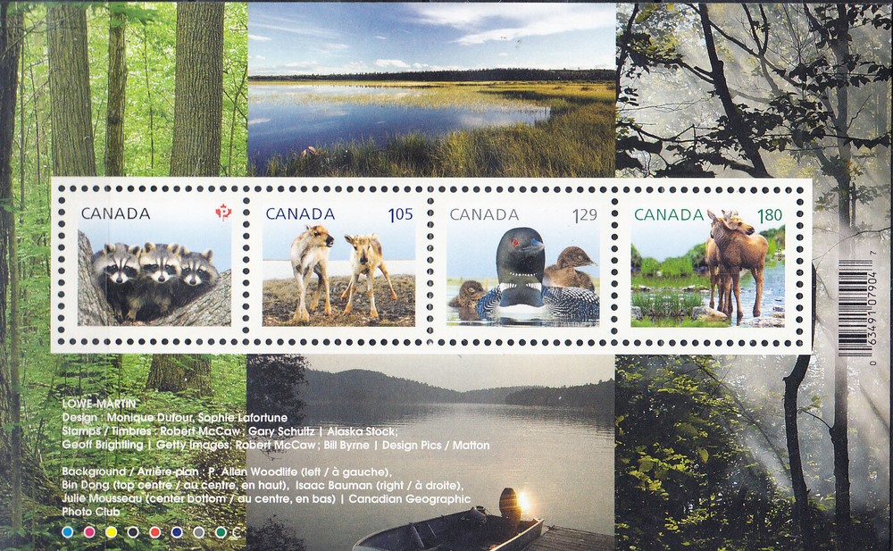 W CANADA 2504 BABY WILDLIFE
