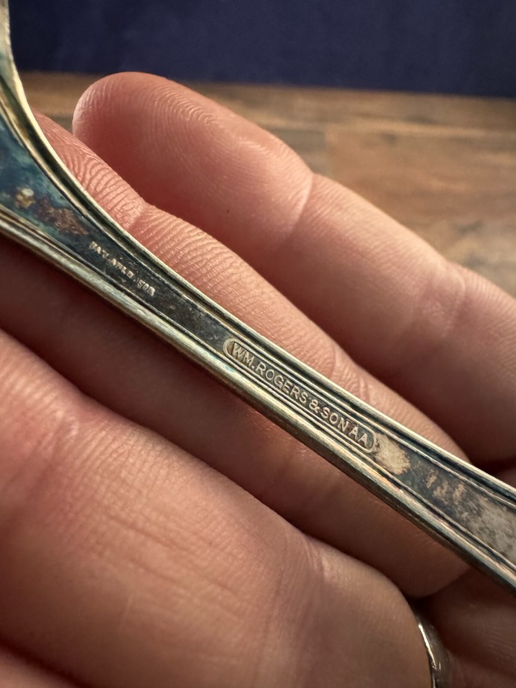 Wm Rogers & Son Soup Spoon Silverplated Lady Doris/Princess Pattern