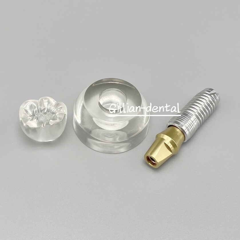Dental Implant Model Detachable M2020 Demonstration Teeth Study Teach Models