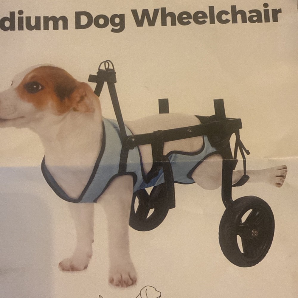 Celestaura Legs walking mobility for animals