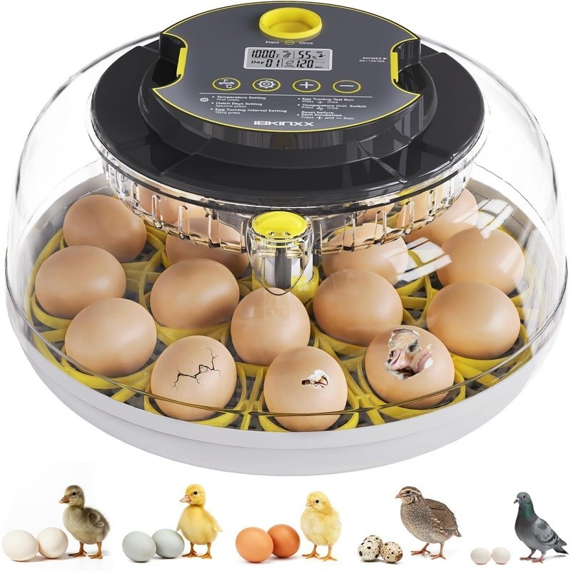 Automatic Egg Incubator 360° View Humidity Control Egg Turner Candling System US