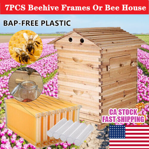 Auto Honey Bee Hive Boxes Bee Hives + 7pcs Bee Frames Beekeeping Frames