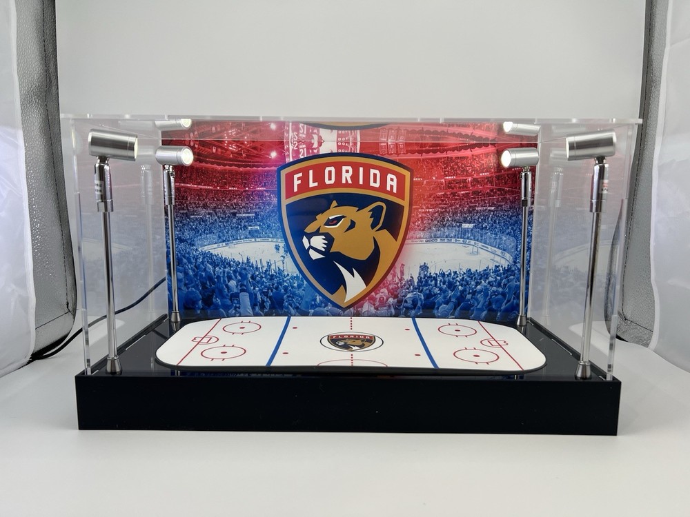 Florida Panthers Custom 2-3 Card PSA Display Case W/ LED Lights
