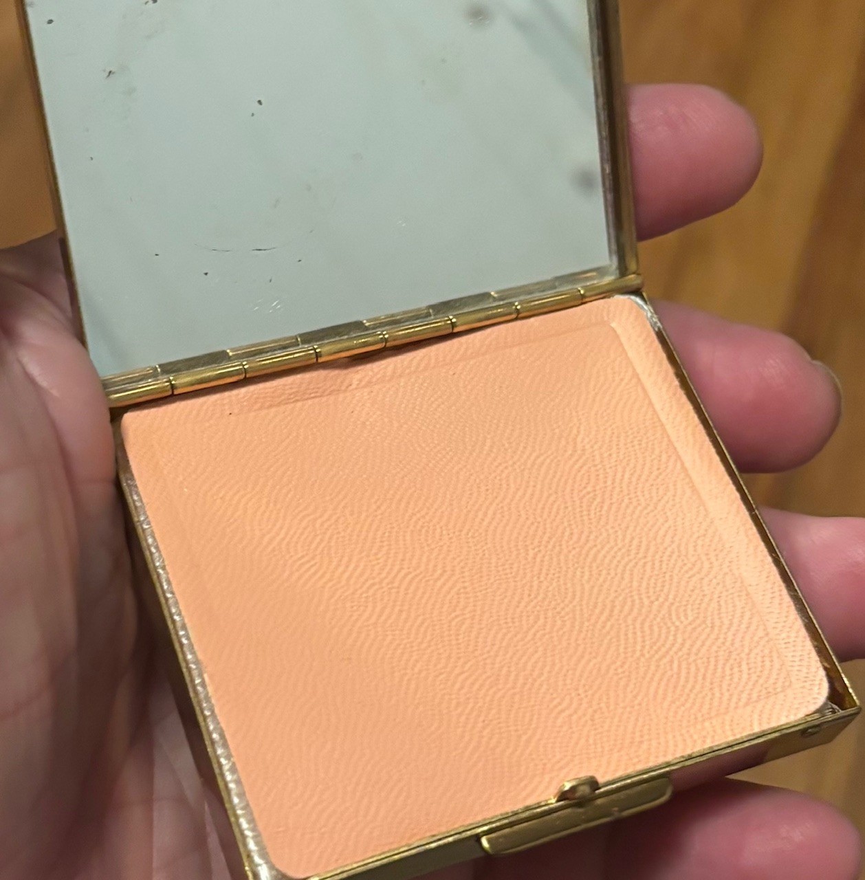 Vintage Silver Springs Florida Souvenir Compact w/Flamingos