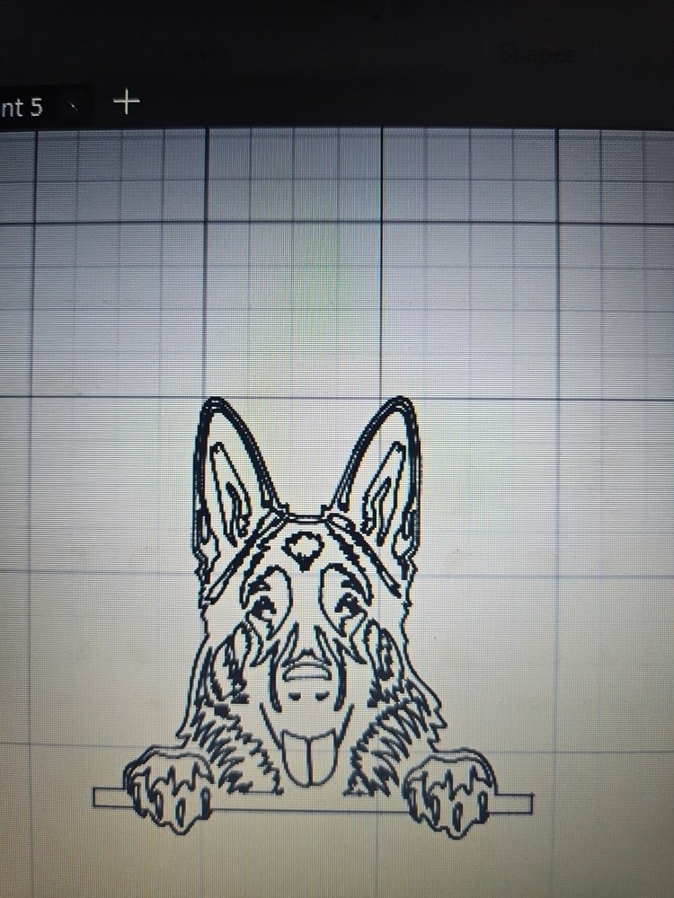 Germany Shepherd