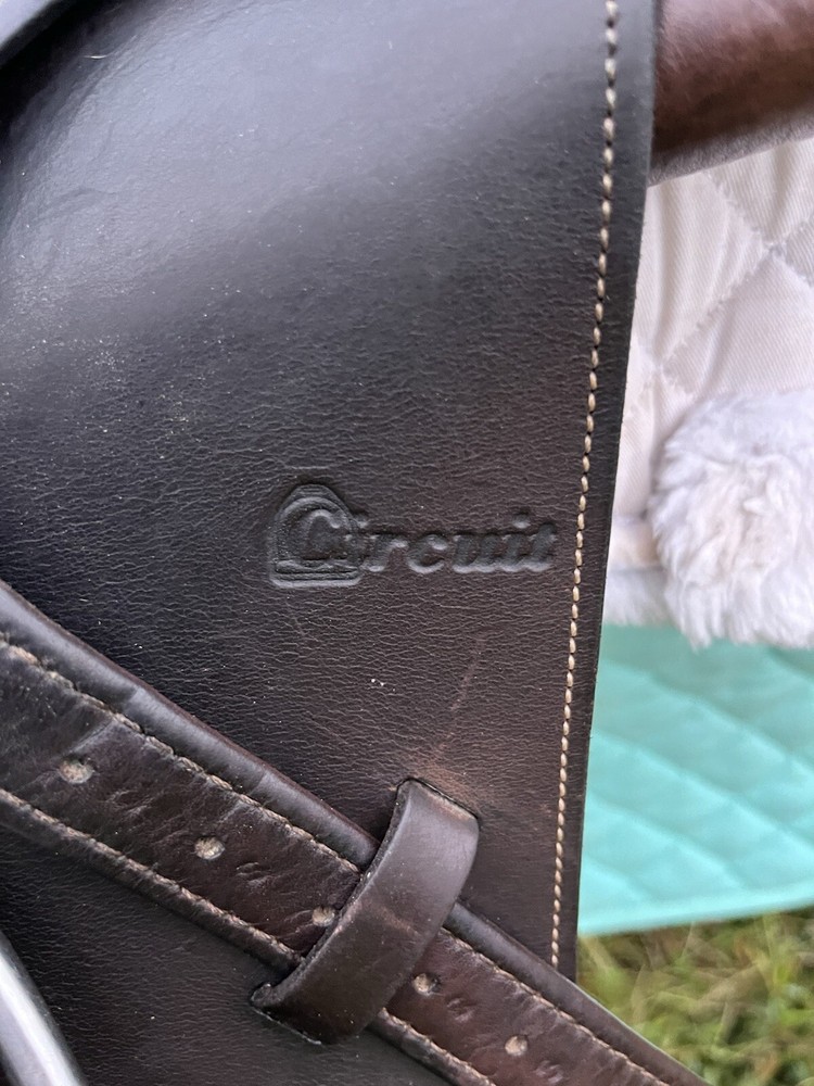 Circuit Premier EQ 16.5 Saddle