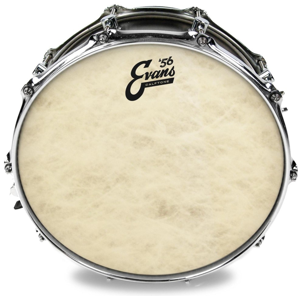 Evans Calftone Drumhead 14 in.