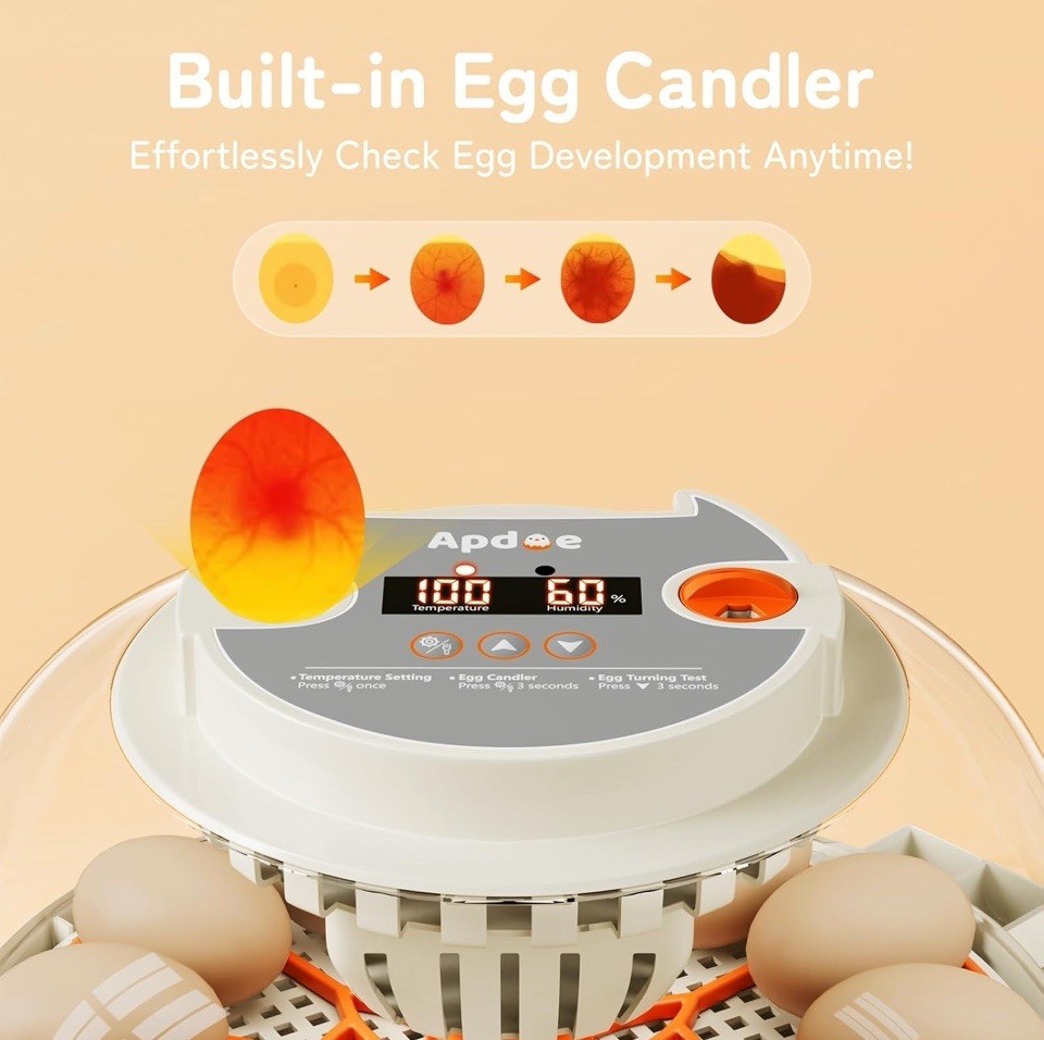 Egg Incubator with Automatic Egg Turning and Humidity Control and Temperature Co