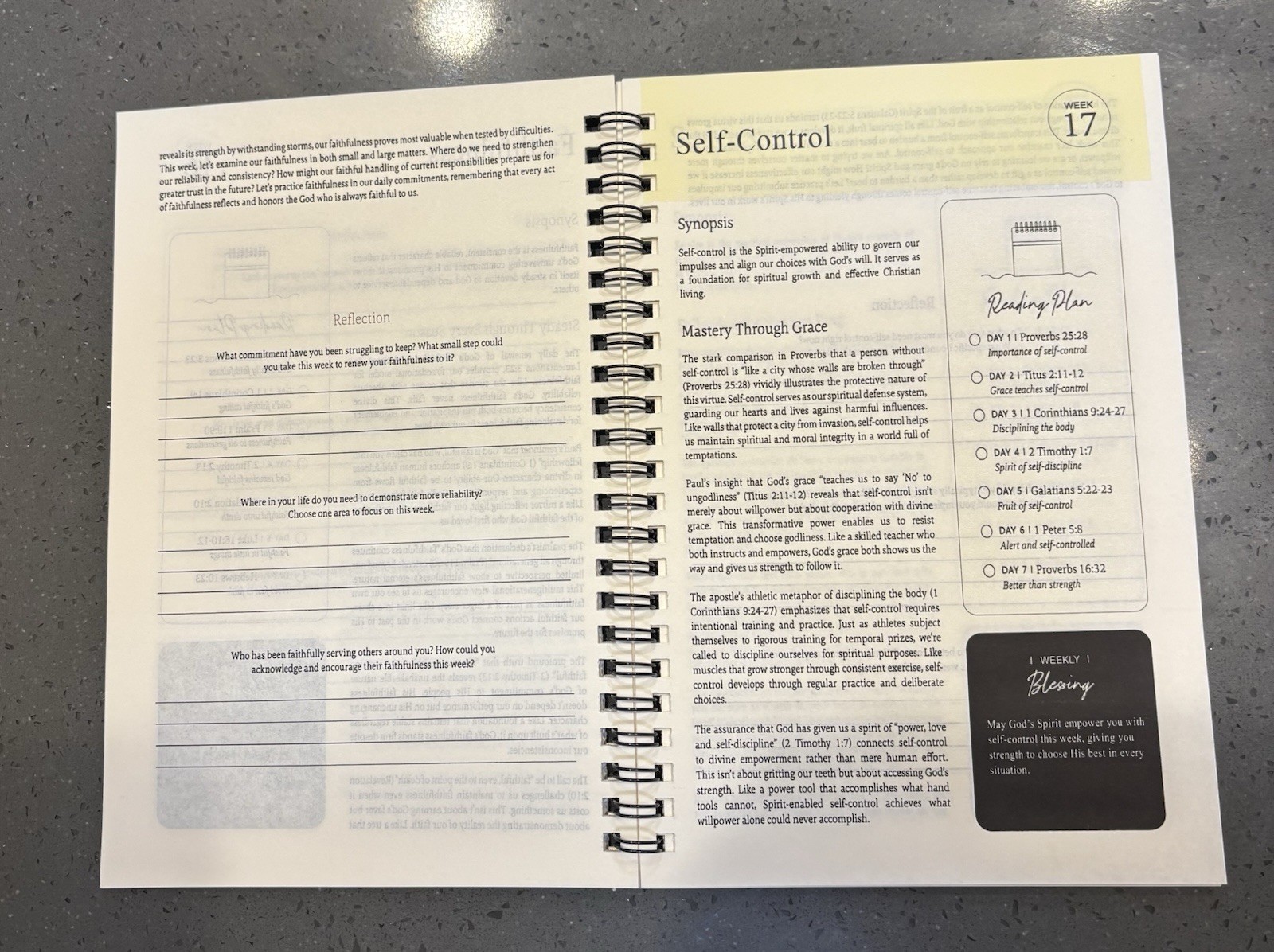 The Bible In A Year: A 52-Week Bible Study Guide W/Bible Tabs & Highlighters