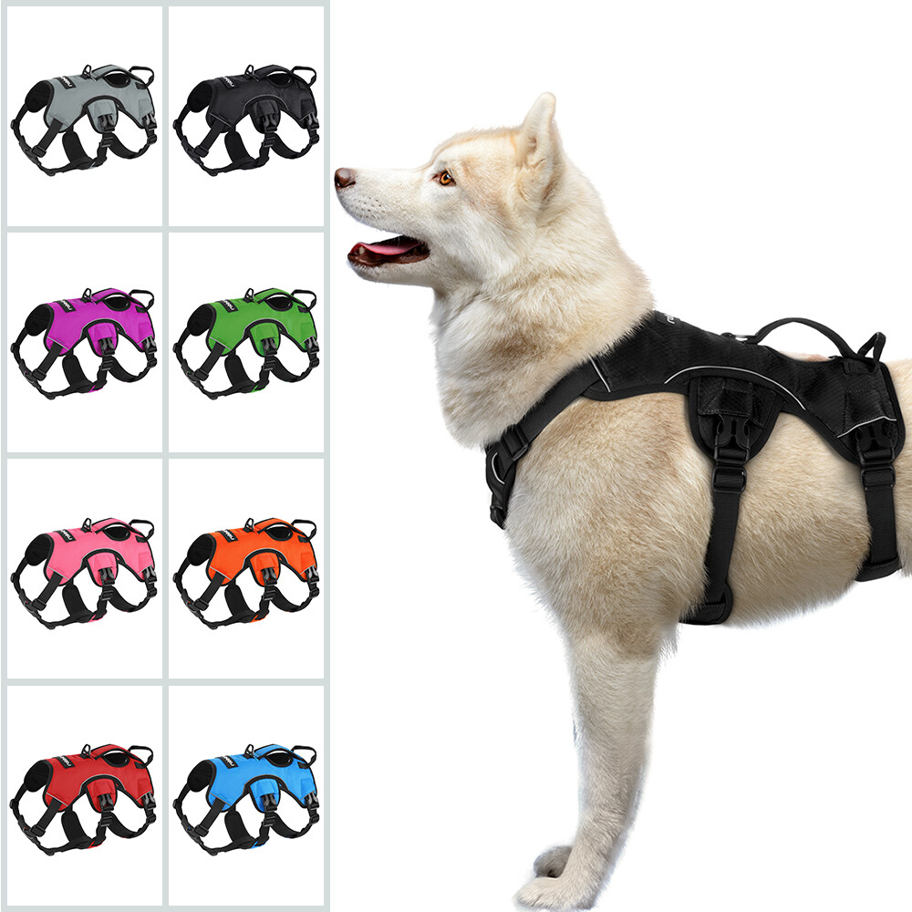 rabbitgoo Escape Proof Dog Harness with Lift Handle Reflective Adjustable Vest