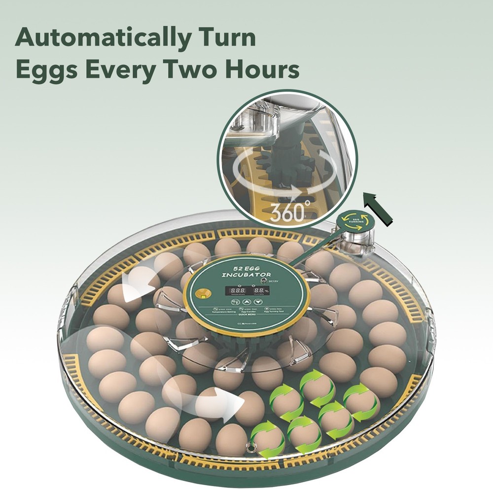 HBN 52 Egg Incubator with Automatic Egg Turning & Temperature Control