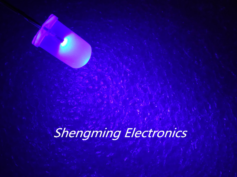 1000pcs 5mm Blue Diffused LED Light Lamps