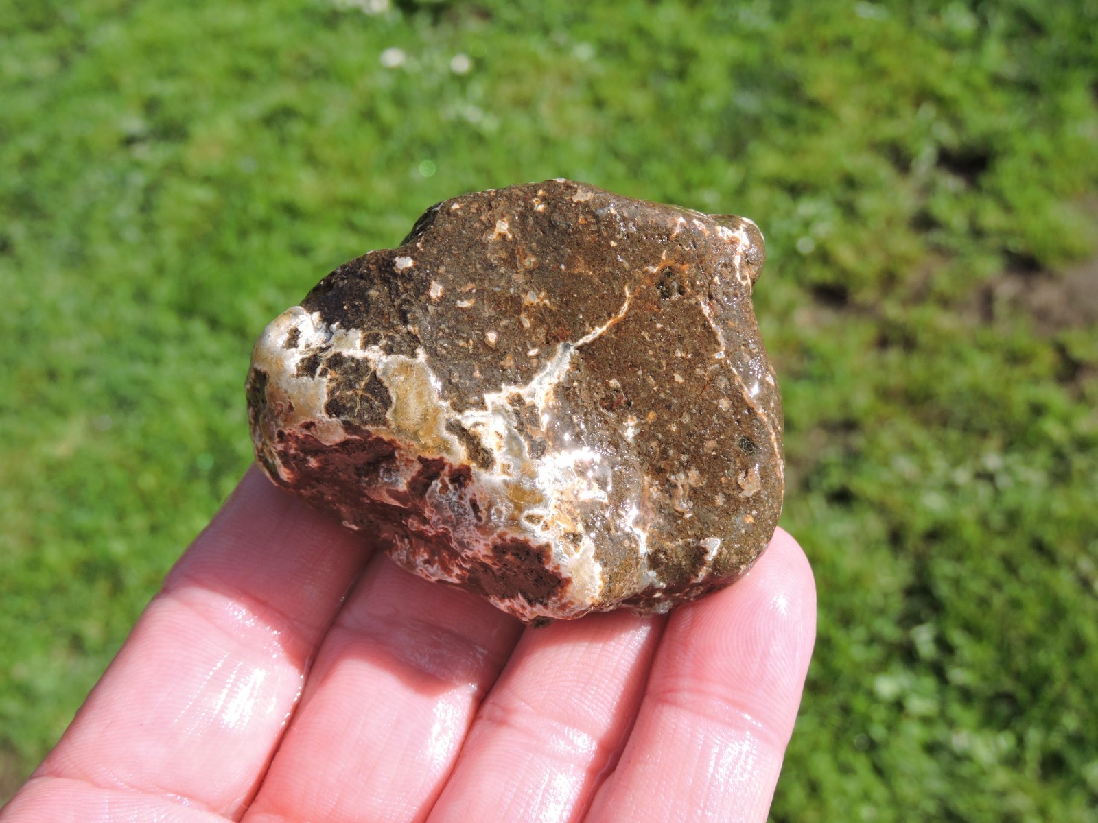 Lot of 🌈 Tumbler Size RAINBOW MIXED STONES from PNW (11.5 lbs) WEST COAST ROCKS