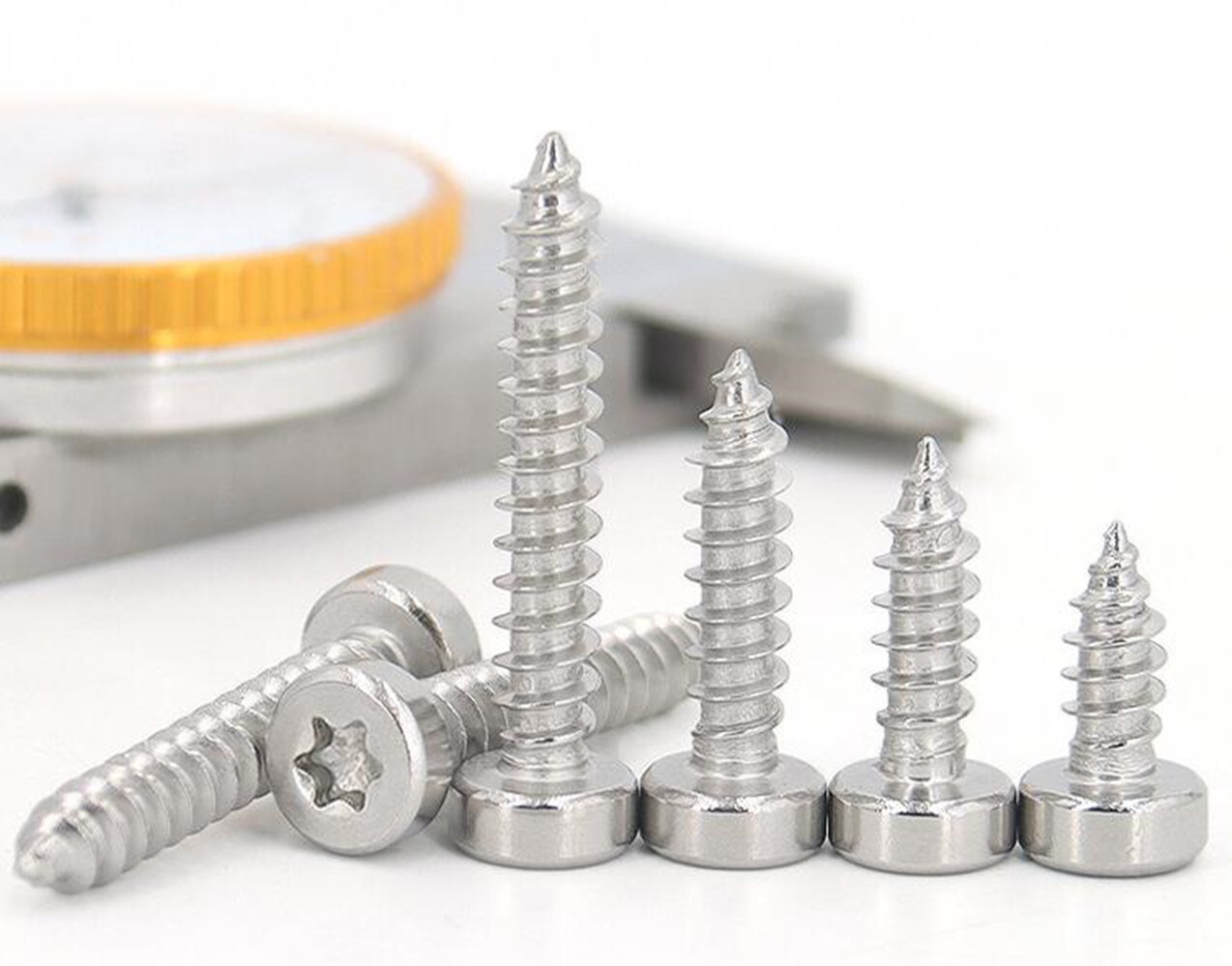 304 Stainless Steel Torx Cap Head Self Tapping Screws With Low Head M2 - M6