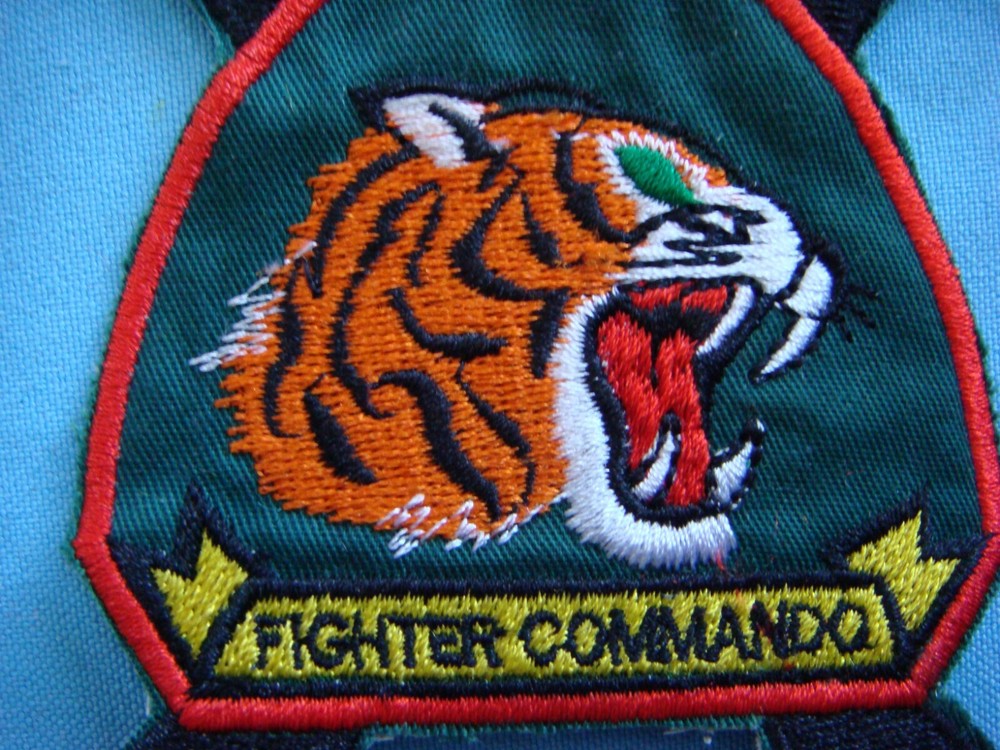 VIETNAM WAR PATCH, USAF 10th FIGHTER COMMANDO SQUADRON 4503rd TFS