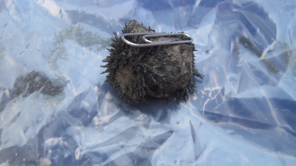LODESTONE MINERAL NATURE'S MAGNET SPECIMEN