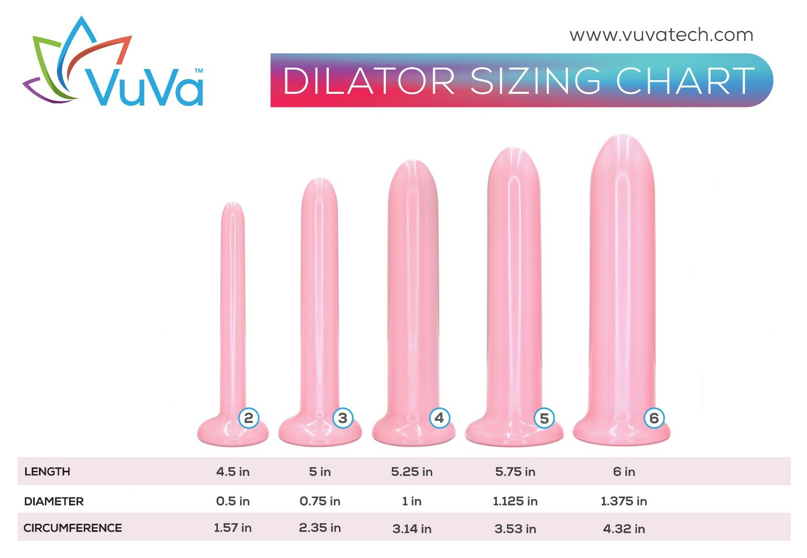 Five New Sizes VuVa Smooth Vaginal Set of 5 - BPA Free Made in America