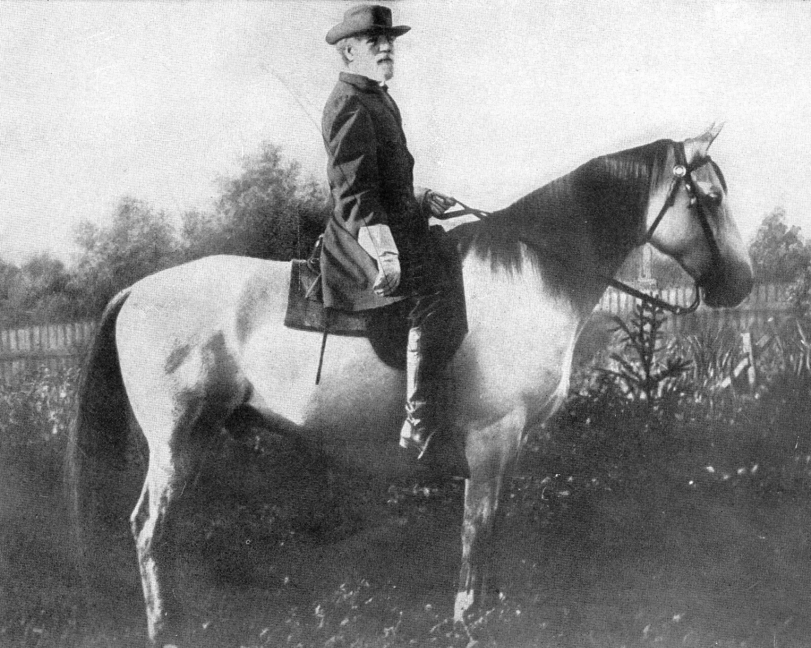 General Robert E. Lee Civil War with Horse Traveller 8 x 10 Photo Photograph