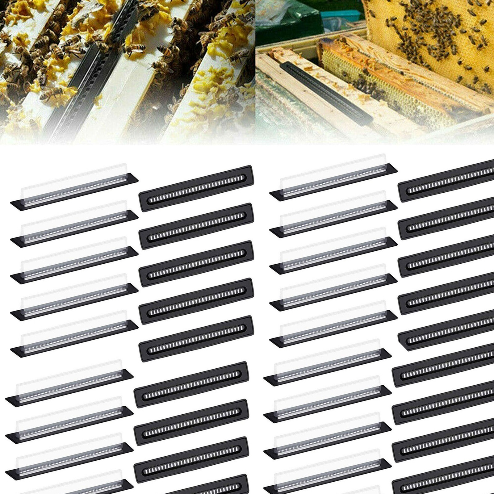 20/40/60×Black Small Bee Hive Beetle Blaster BeeHive Beetle Trap Beekeeping Tool