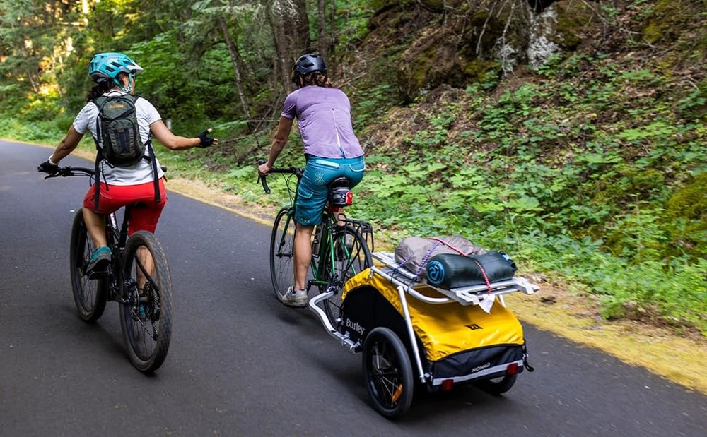 Burley Design Nomad Cargo Rack