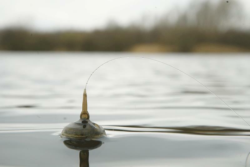 Fox Edges Zig Float Kit / Carp Fishing Tackle