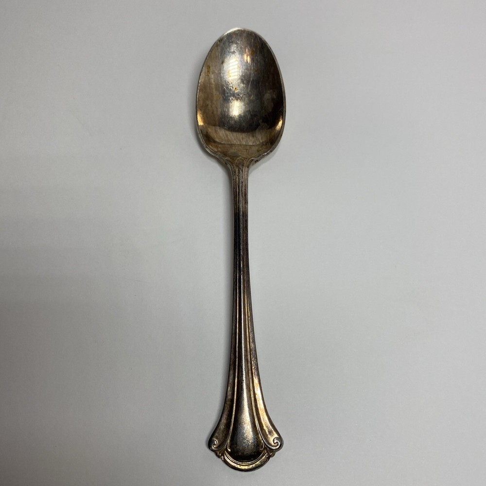 WM Rogers Starlight Pattern Serving Fork & International Silver Serenity Spoon