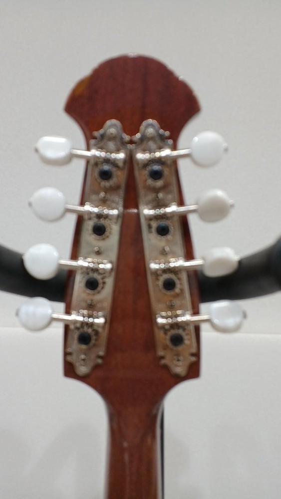 Tsuneo Fujimaru No.100 Mandolin