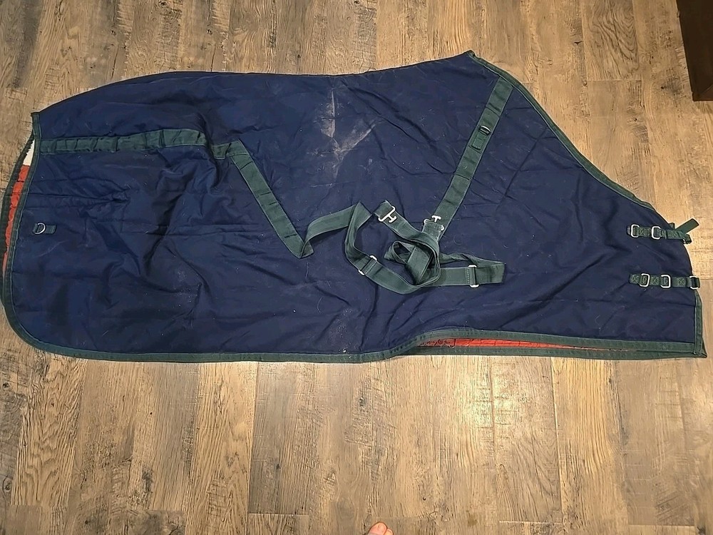 Horse Blanket 66