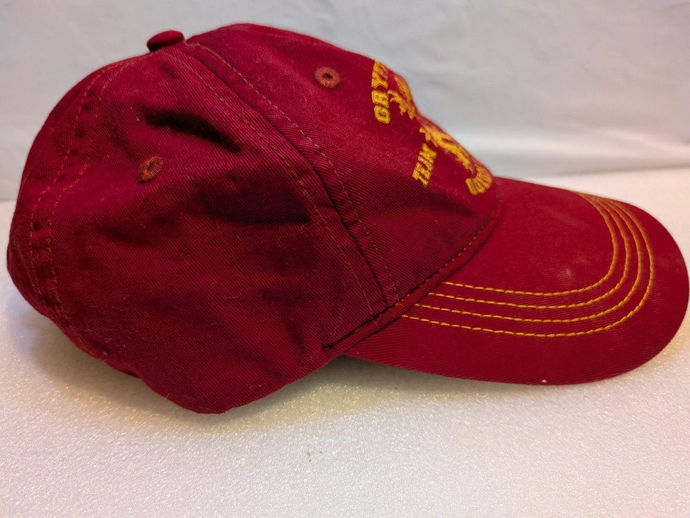 Universal Studios Harry Potter Gryffindor Team Captain Quidditch Hat Cap