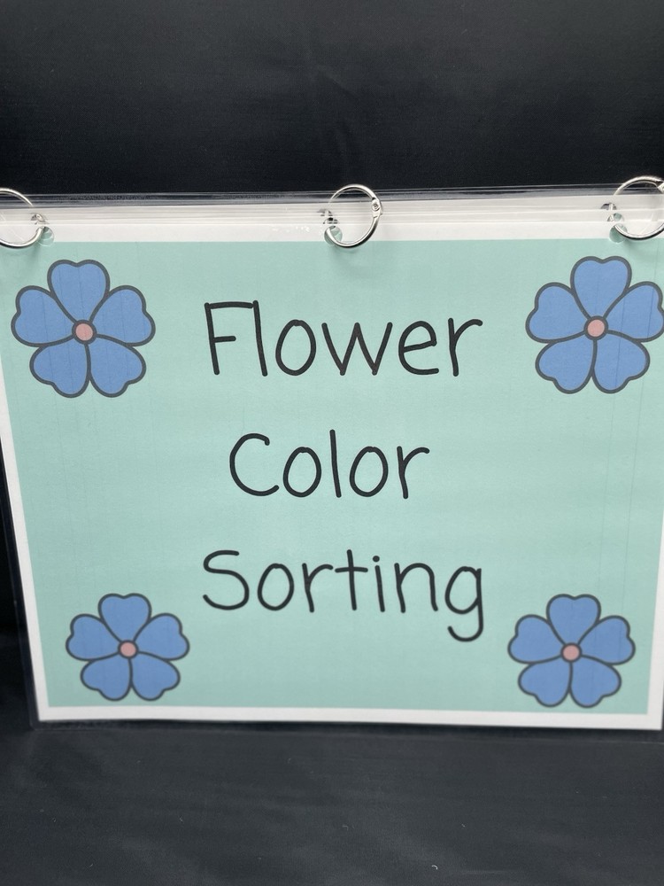 Color Sorting And Matching Children’s File Folder Activity Game Book