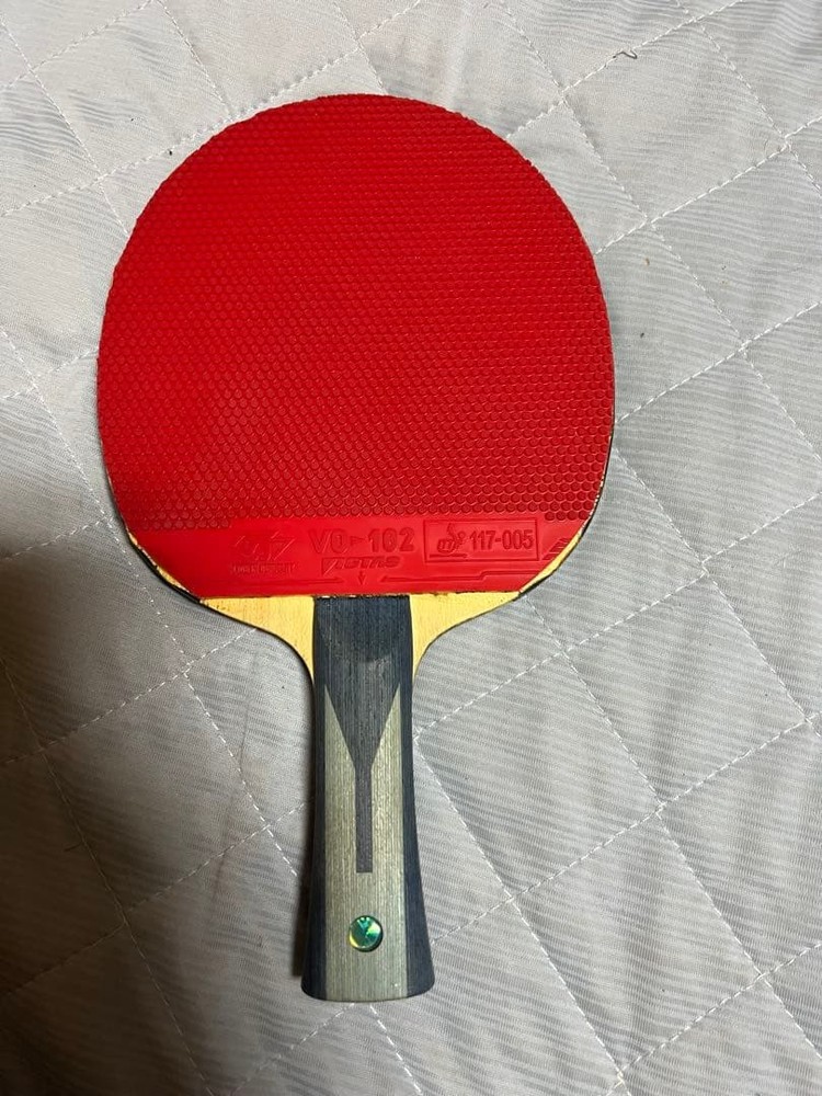 Timo Boll ALC FL