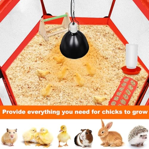 Chicks Brooder Box for Chicken Starter Kit- Includes Timing Heat Lamp Set, Red