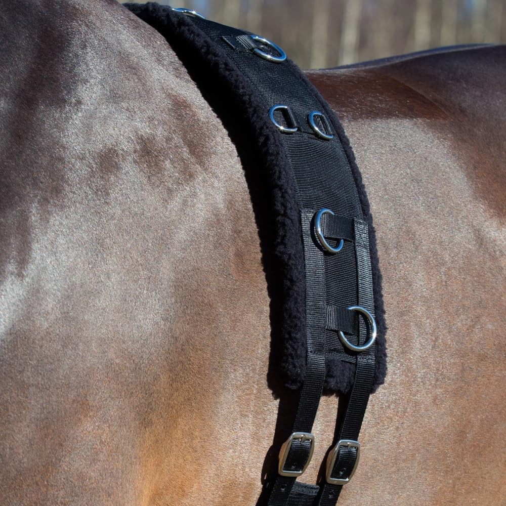 Training Surcingle - Black - Pony