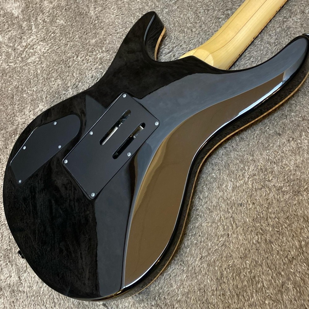 Fujigen Fgn Eel-Fm Tks