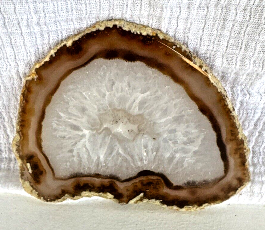 Beautiful Earth Tone Geode Slice Polished Natural Geode Mineral Rock Stone 5” W