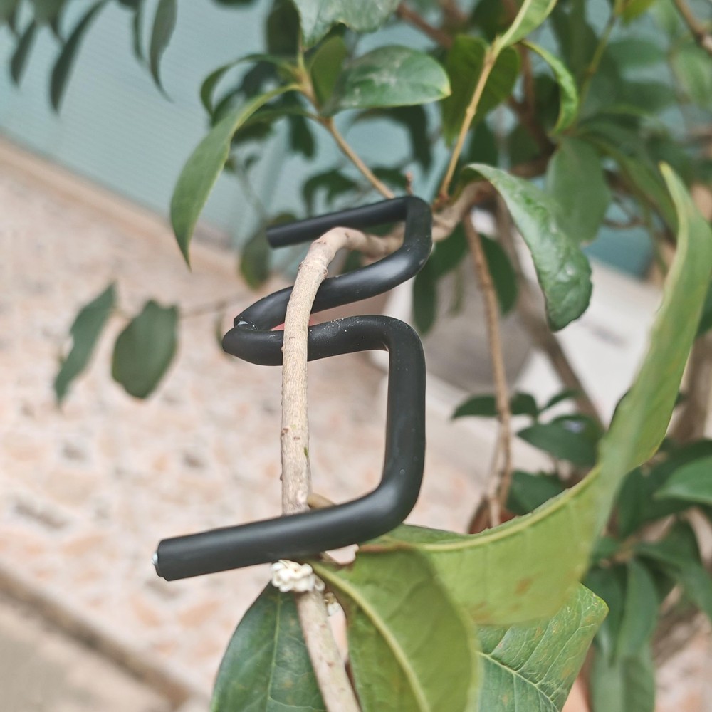 Fruit Tree Limb Spreader 5.1 Inch Plastic Hose Branch Puller Tool 20 PCS