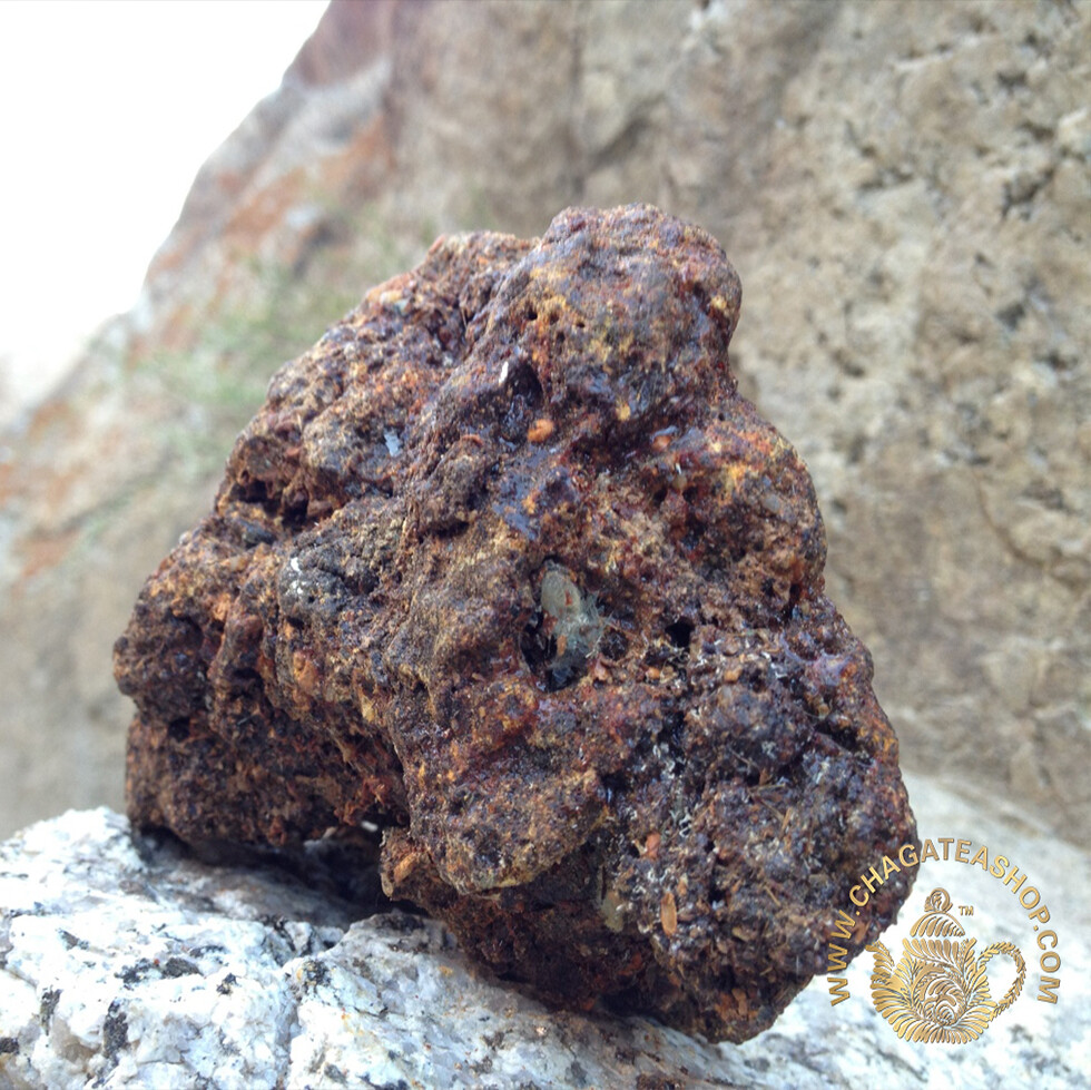 All Natural Mumijo Tablets Dietary Supplement from Altai Mountains