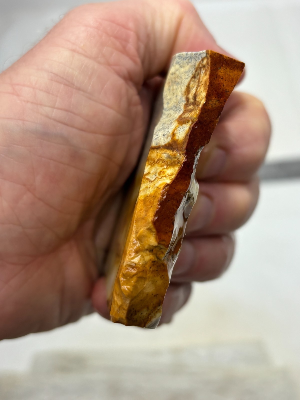 Disaster Peak Picture Jasper end slab Cabbing Lapidary Collecting Combo Ship Avl