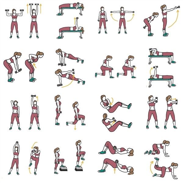 Dumbbell Set 44 LB Adjustable Weight Set for Men & Women Body Building Training