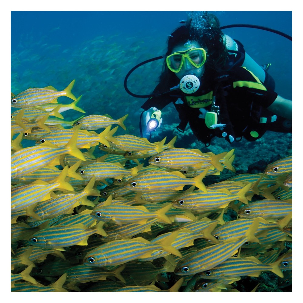 SL4 eLED MK2 Dive Light