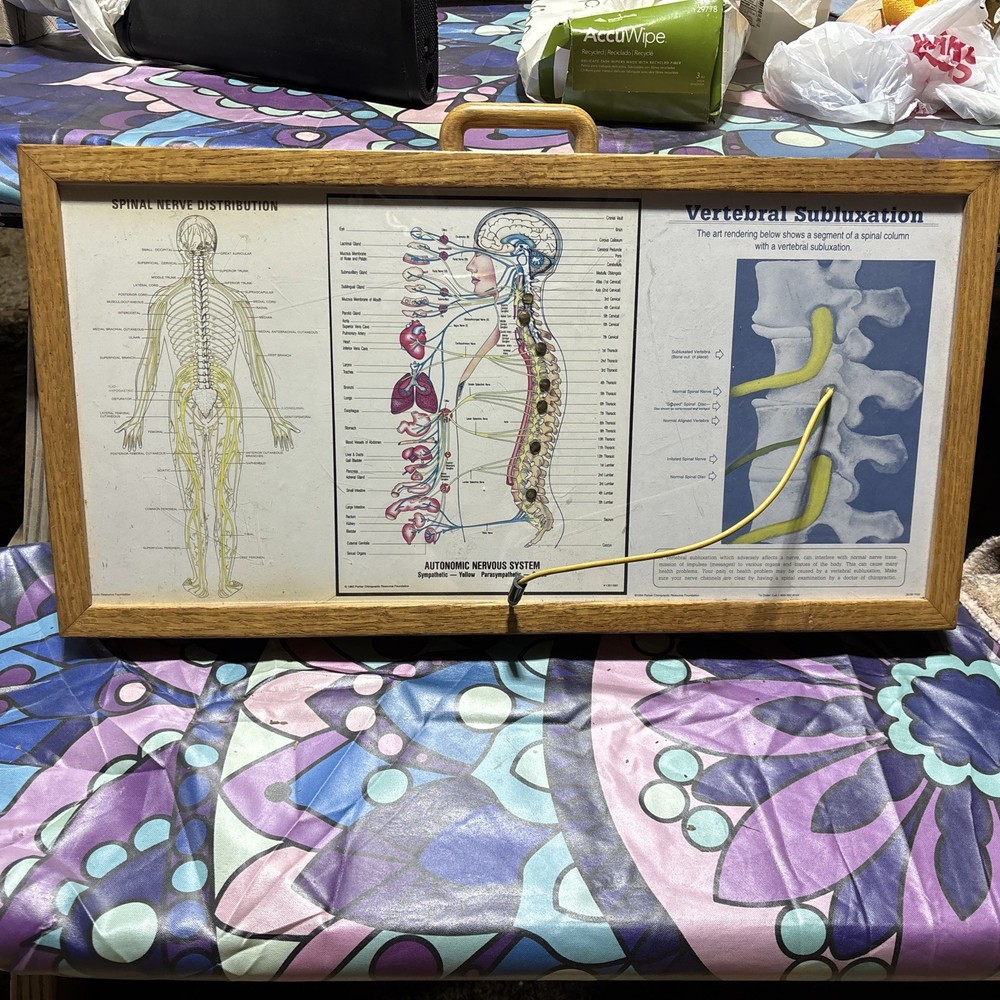 Autonomic Nervous System Light box