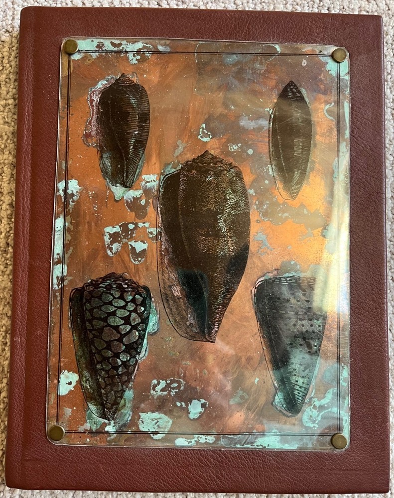 Copper Printed Shells notebook/journal (new)