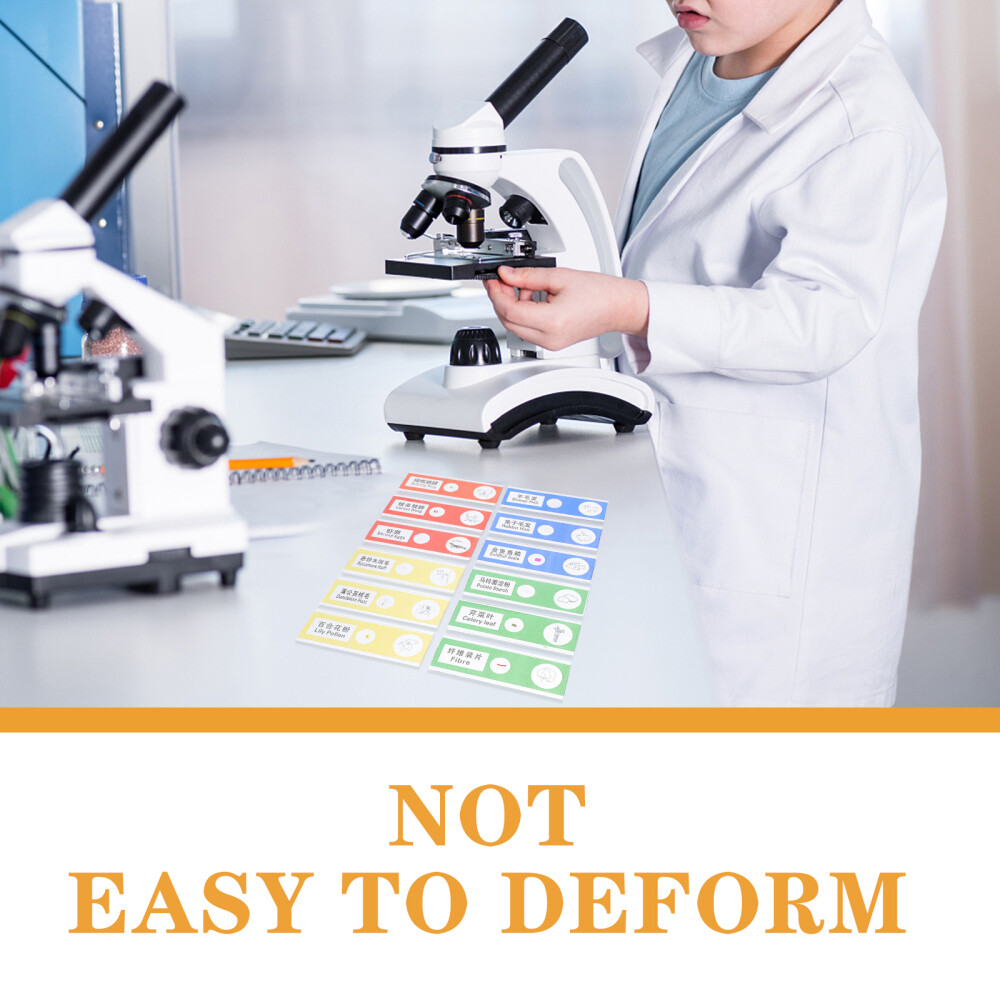 36pcs Microscope Sample Slide Plant Sample Specimen Kid Science Toy